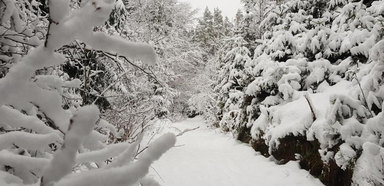 Teplice nad Metují Podskali Adrspach מראה חיצוני תמונה